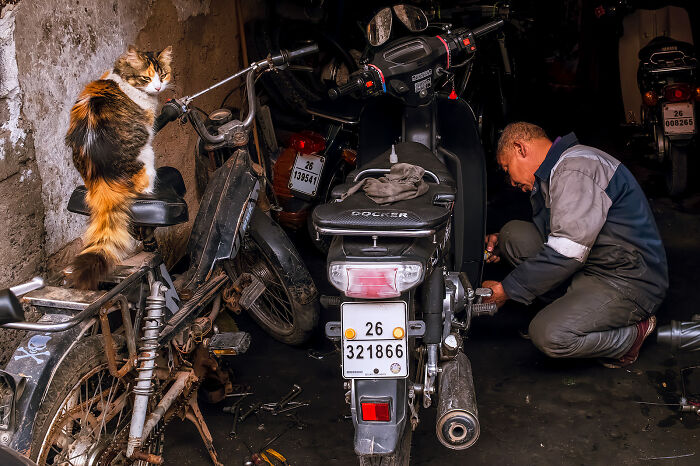 Whoa, Check Out These 80 Totally Weird And Wonderful City Snapshots!