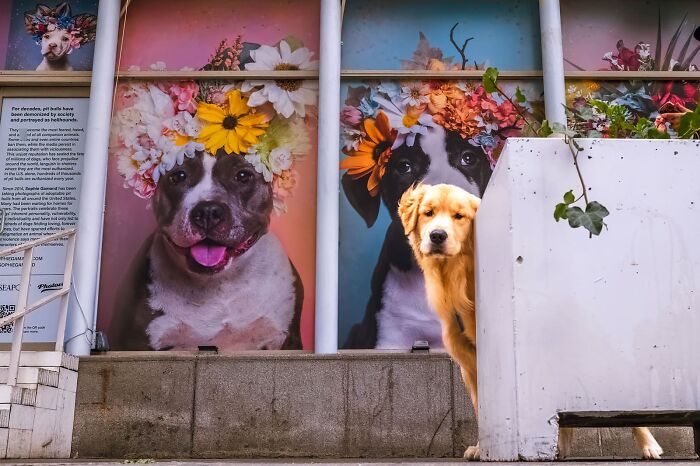 Whoa, Check Out These 80 Totally Weird And Wonderful City Snapshots!