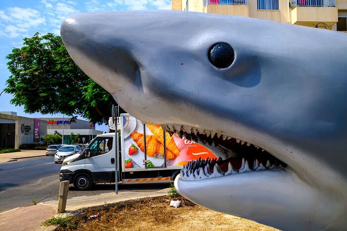Whoa, Check Out These 80 Totally Weird And Wonderful City Snapshots!