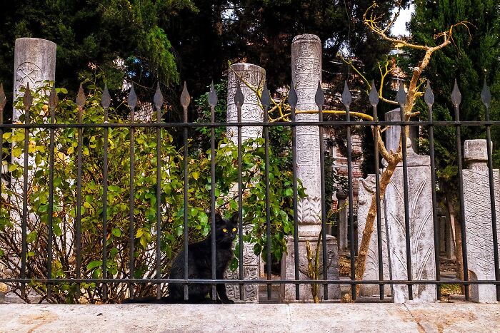 Whoa, Check Out These 80 Totally Weird And Wonderful City Snapshots!