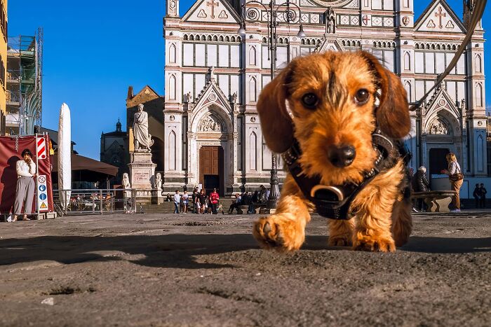 Whoa, Check Out These 80 Totally Weird And Wonderful City Snapshots!