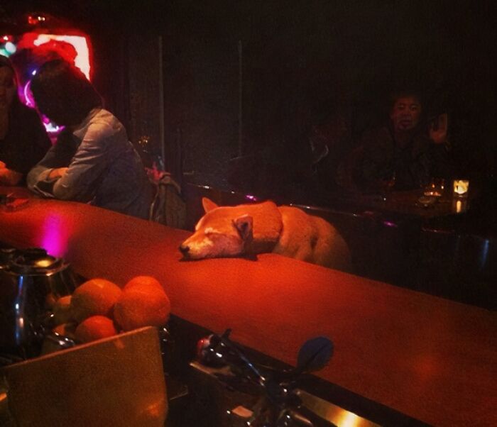 Only In A Club Would This Happen
