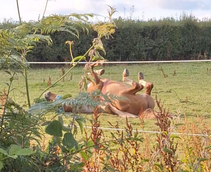 Sun's Out, Lazy Bums Out