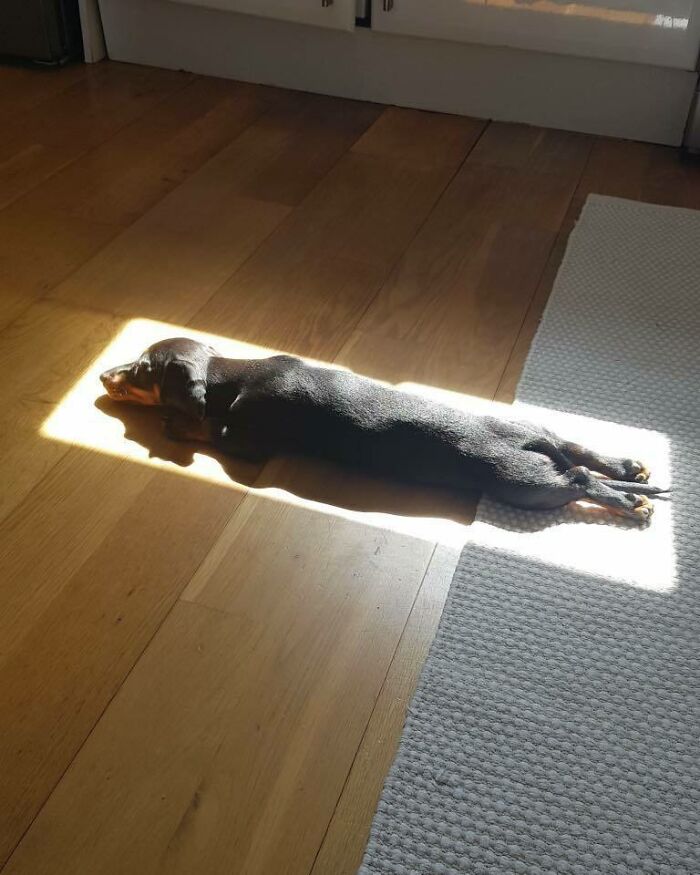 Finally Found THE Spot to Sunbathe