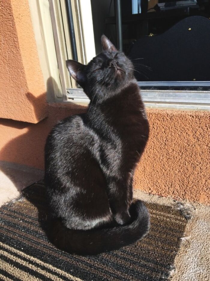 Proud and Sunbathing