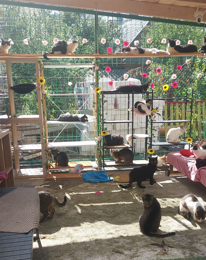 30 Sunbathing Animals That Totally Nailed The Chill Vibe