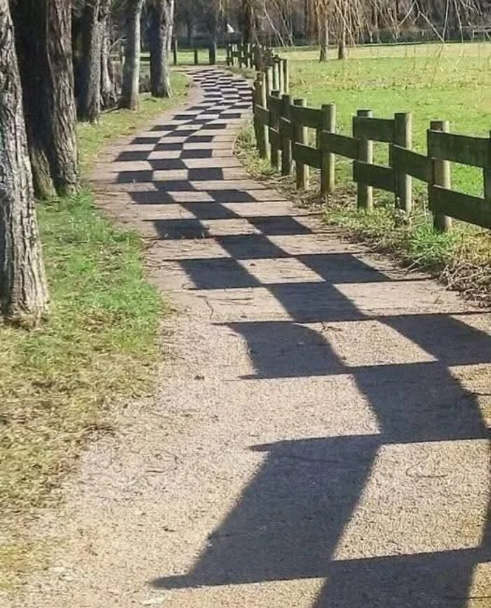 Road and Shadows Team Up for This Design