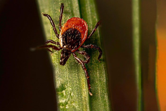 The 43 Spookiest Scary Things People Actually Freak Out About