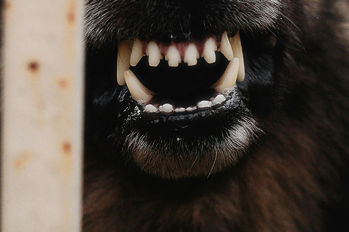 The 43 Spookiest Scary Things People Actually Freak Out About