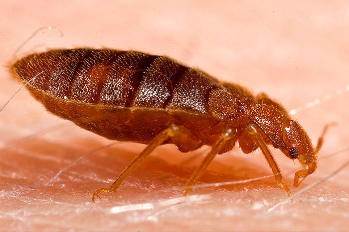 The 43 Spookiest Scary Things People Actually Freak Out About