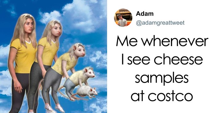 The Wild World of Costco Tweets: Hilarious Gems You Gotta See