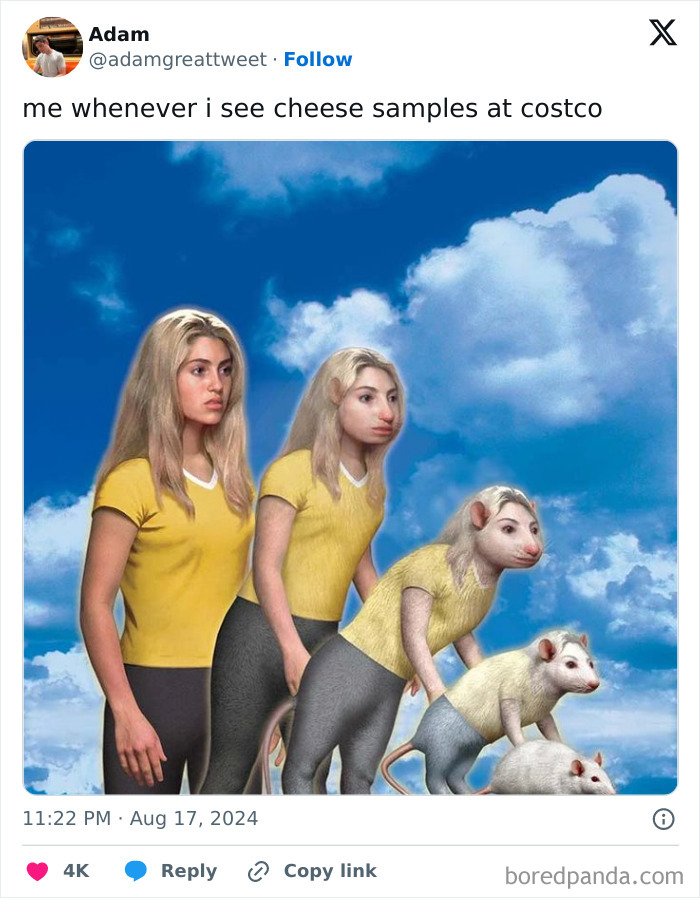 The Wild World of Costco Tweets: Hilarious Gems You Gotta See