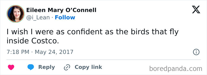 The Wild World of Costco Tweets: Hilarious Gems You Gotta See