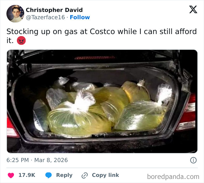 The Wild World of Costco Tweets: Hilarious Gems You Gotta See