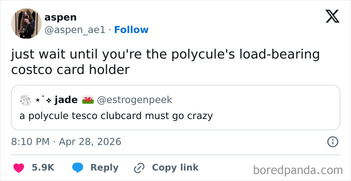 The Wild World of Costco Tweets: Hilarious Gems You Gotta See