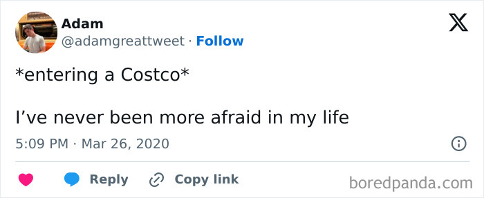 The Wild World of Costco Tweets: Hilarious Gems You Gotta See