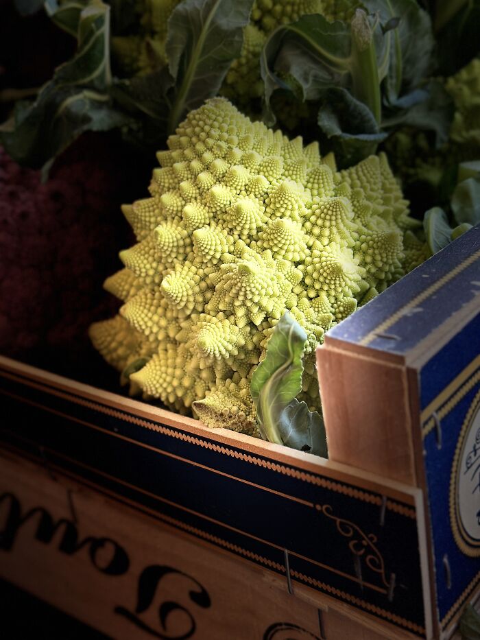Jamie Oliver Youth Prize 12 And Under: Alien-Looking Romanesco By Ariel Owliaei, UK