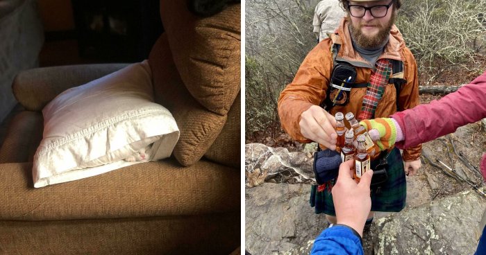 Wait, Can You Spot What’s Hiding in These Totally Normal Pics?