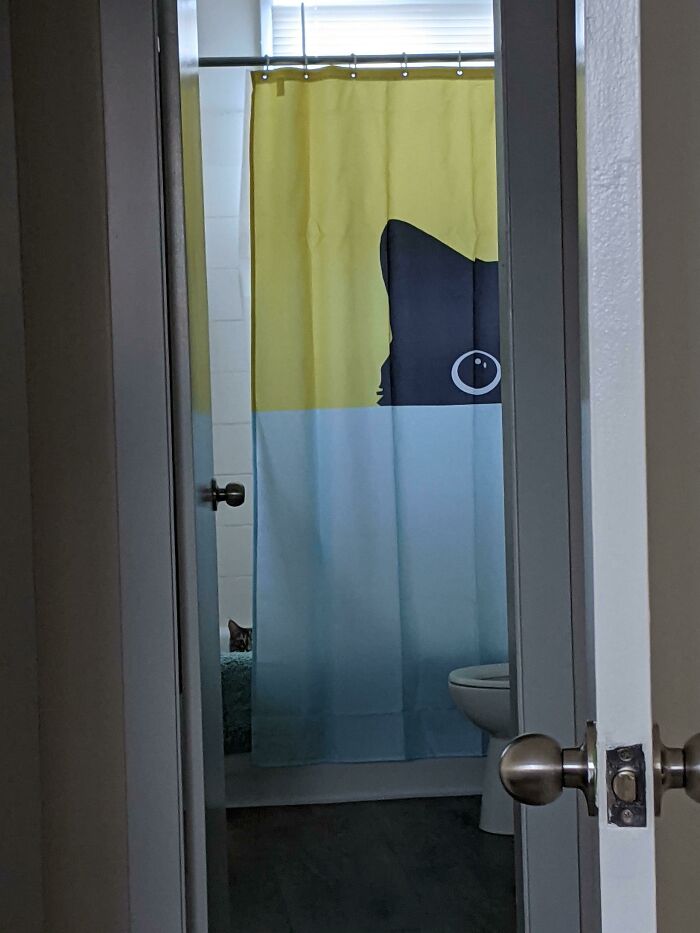 Wait, Can You Spot What’s Hiding in These Totally Normal Pics?
