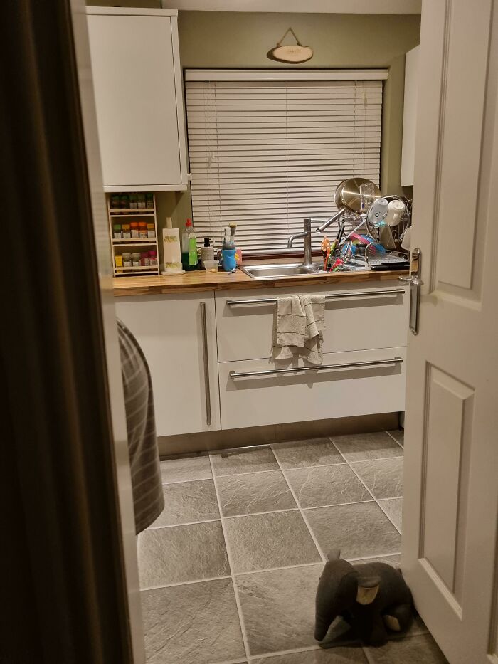 Wait, Can You Spot What’s Hiding in These Totally Normal Pics?
