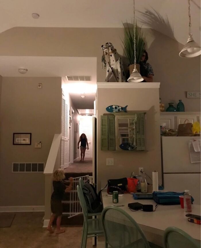 Wait, Can You Spot What’s Hiding in These Totally Normal Pics?