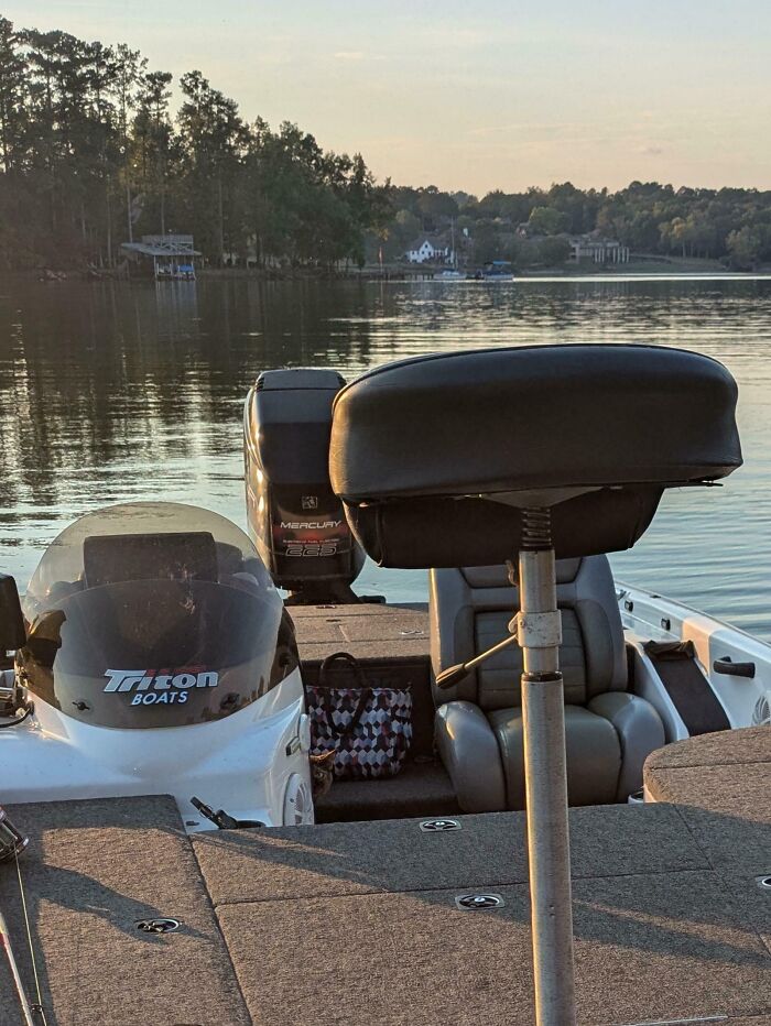 Wait, Can You Spot What’s Hiding in These Totally Normal Pics?