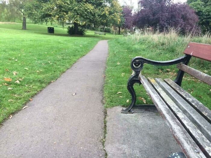 Wait, Can You Spot What’s Hiding in These Totally Normal Pics?
