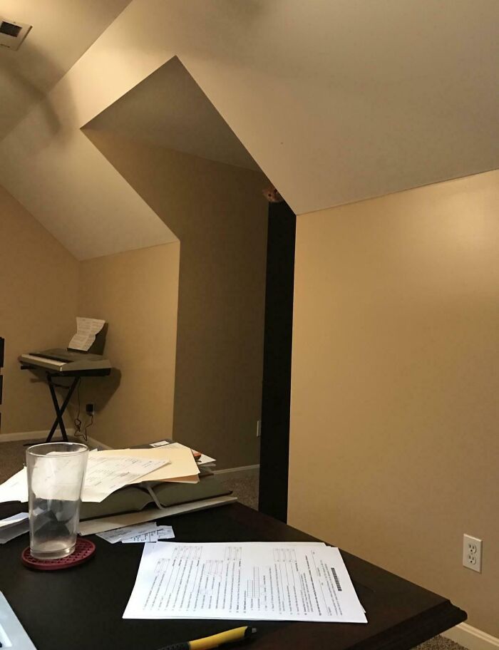 Wait, Can You Spot What’s Hiding in These Totally Normal Pics?