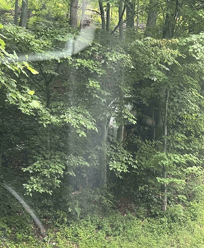 Wait, Can You Spot What’s Hiding in These Totally Normal Pics?