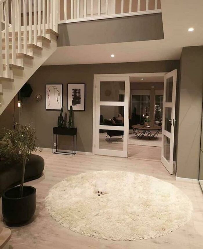 Wait, Can You Spot What’s Hiding in These Totally Normal Pics?