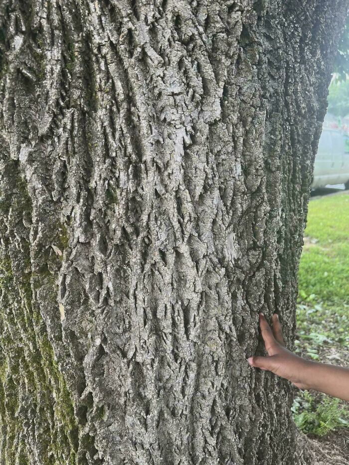 Wait, Can You Spot What’s Hiding in These Totally Normal Pics?