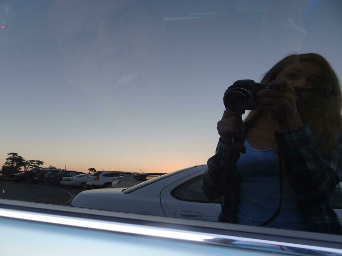 Wait, Can You Spot What’s Hiding in These Totally Normal Pics?