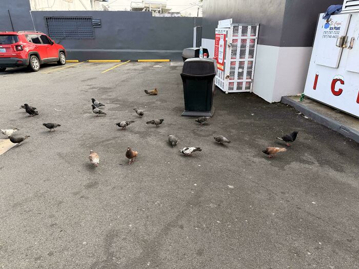 Wait, Can You Spot What’s Hiding in These Totally Normal Pics?