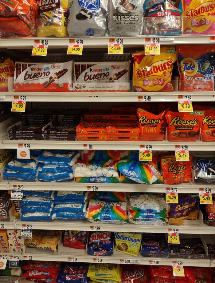 Wait, Can You Spot What’s Hiding in These Totally Normal Pics?