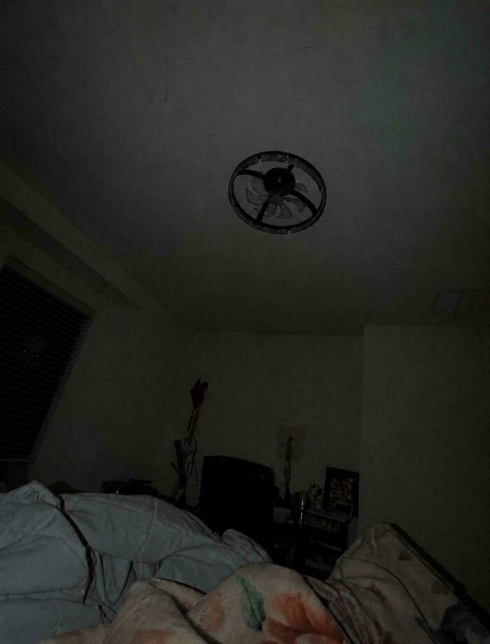 Wait, Can You Spot What’s Hiding in These Totally Normal Pics?