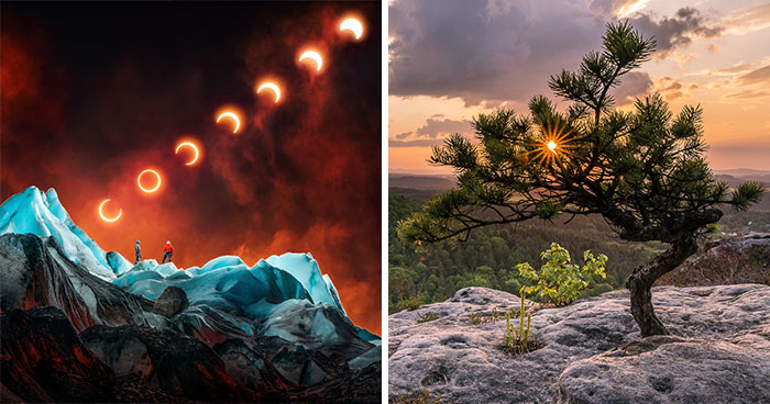 Nature’s Color Show: 54 Pics That Totally Stole the Spotlight