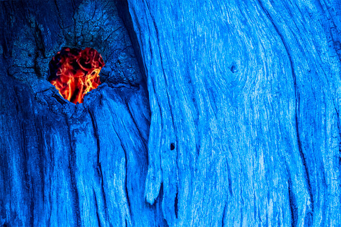 The Fiery Tree Stare