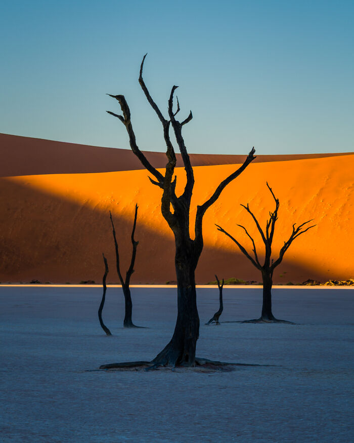 Dead Vlei Drama: Sand and Bones