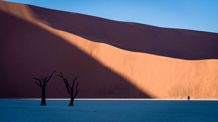 Big Daddy Dune’s Massive Vibes