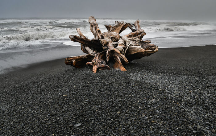 Ruby Beach Serenity