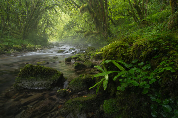 Fairy Summer in the Pyrenees