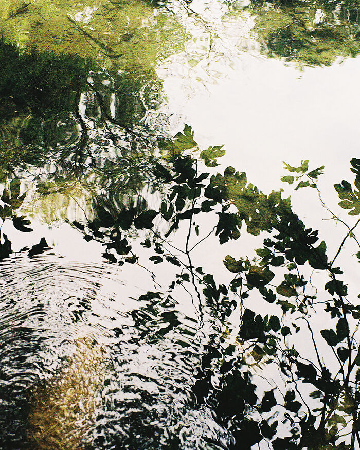 Reflective River Tree Twist