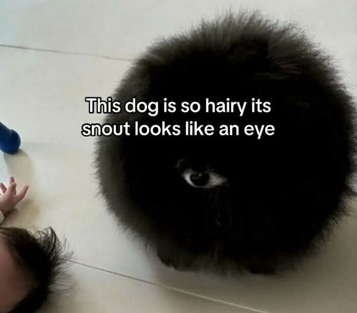 The Face You Make When...