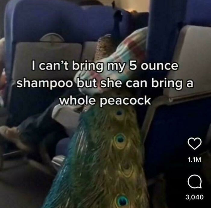 A Classic Mix-Up
