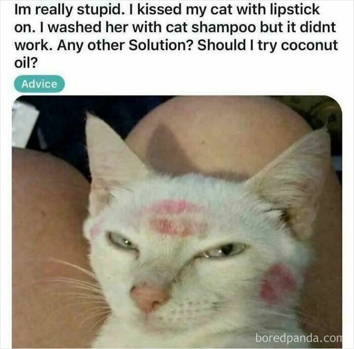 That’s Not How This Works