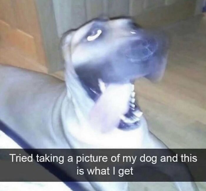 Wait, They Actually Shared These Wild And Weird Memes?! 99 Of The Craziest Ones