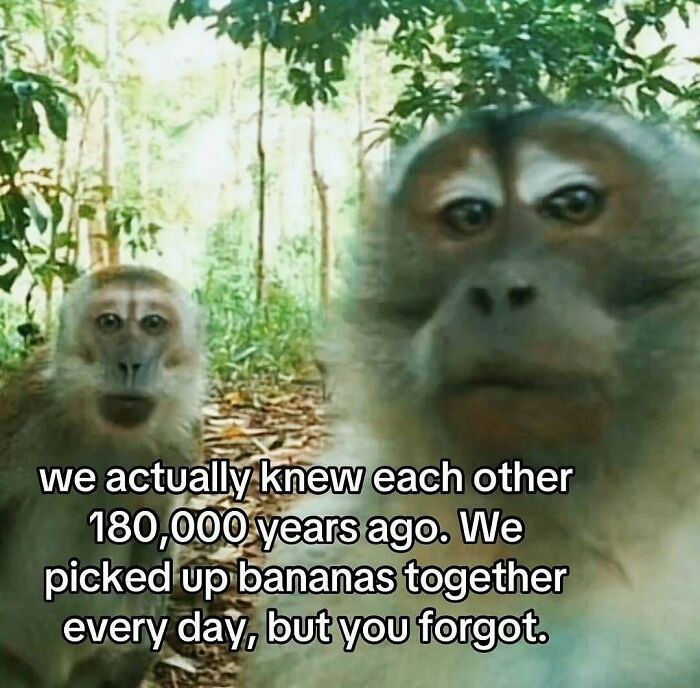 Wait, They Actually Shared These Wild And Weird Memes?! 99 Of The Craziest Ones