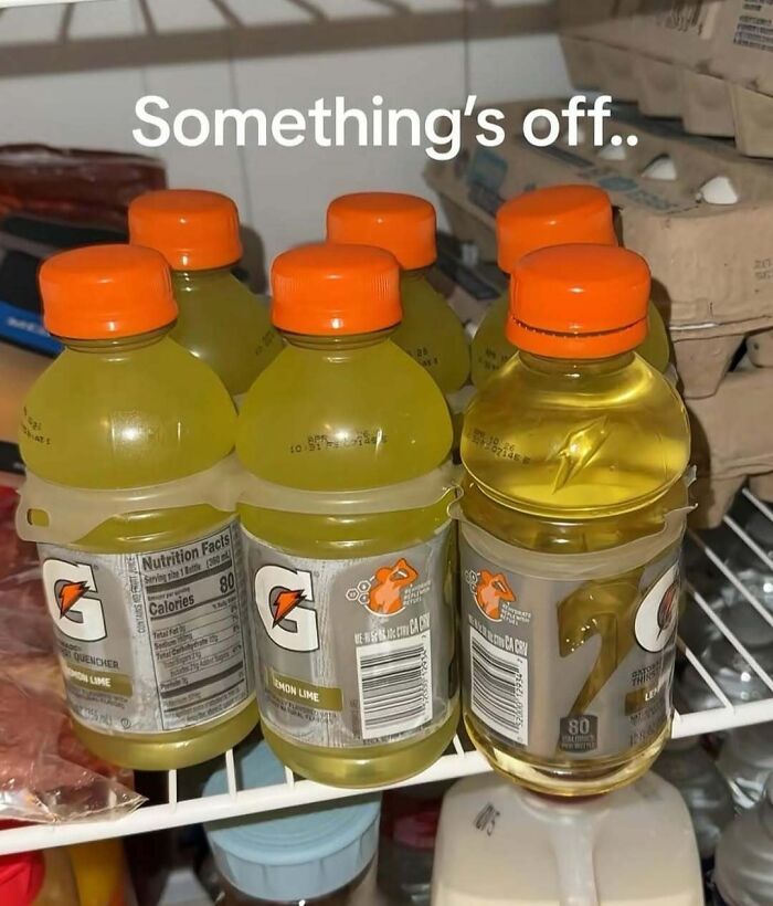 Wait, They Actually Shared These Wild And Weird Memes?! 99 Of The Craziest Ones