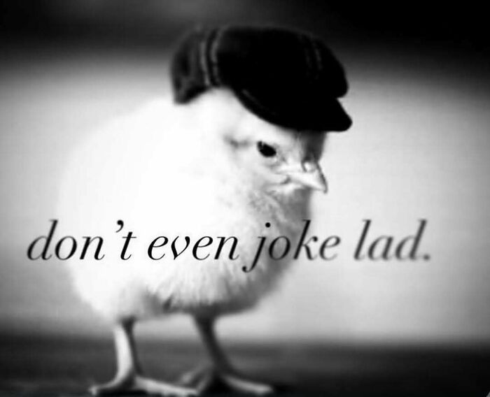 Wait, They Actually Shared These Wild And Weird Memes?! 99 Of The Craziest Ones