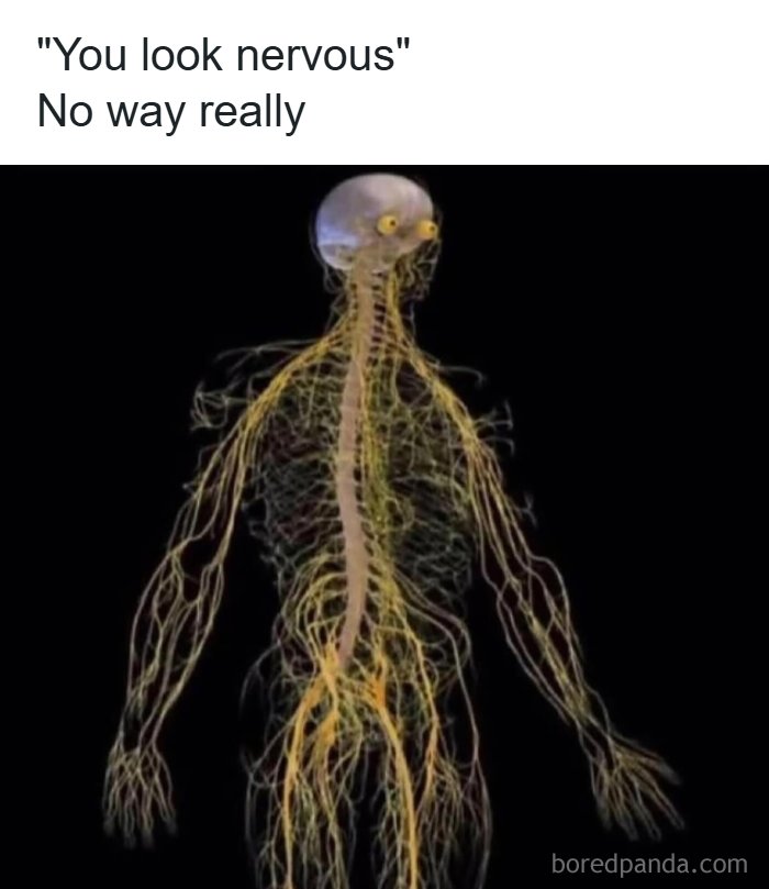 Wait, They Actually Shared These Wild And Weird Memes?! 99 Of The Craziest Ones
